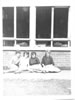 4 alpha 1960.