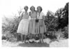 Diane Allman, Margaret Davies, Cynthia Noakes.